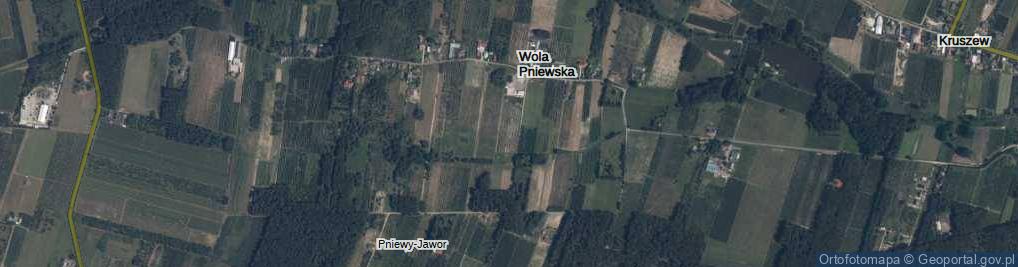 Zdjęcie satelitarne Wola Pniewska ul.